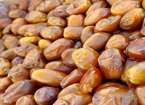 خرما زاهدی قصر شیرین + قیمت خرید، کاربرد، مصارف و خواص