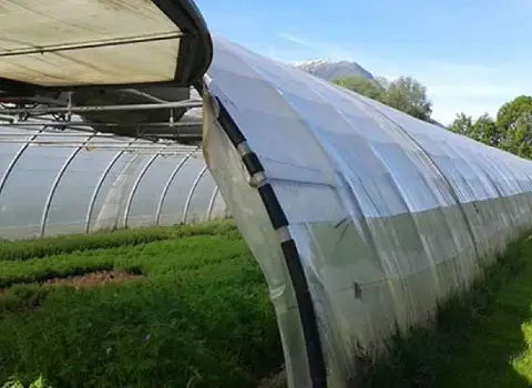 بهترین نایلون گلخانه ای؛ رنگی شفاف 2 جنس پلاستیک شیشه