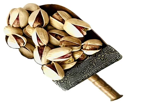 پسته کله قوچی | قیمت خرید عمده و کیلویی