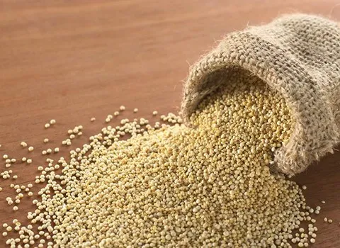 راهنمای خرید ماهی خاویار آلبینو + قیمت عالی