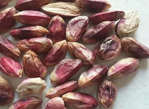 مغز پسته زرند + قیمت خرید، کاربرد، مصارف و خواص