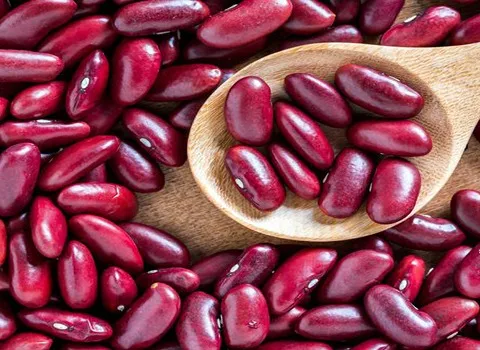 معرفی لوبیا قرمز کپسولی + بهترین قیمت خرید