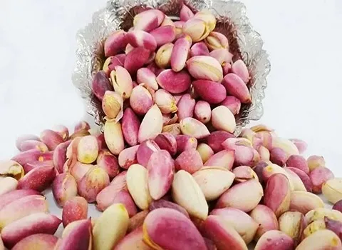 پسته تازه فیض اباد؛ مغز درشت کیلویی مناسب (شیرینی گز دسر)