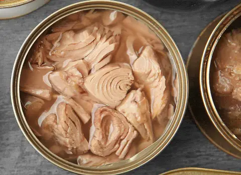 خرید و قیمت روز تن ماهی شیلتون