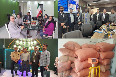 آرادنگاری عکسی ۲ مهر