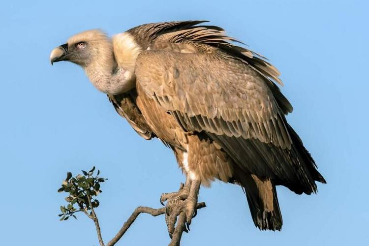 #ناموفق: تقصیر را بر گردن دیگران انداختن دردی از شما دوا نمی کند مثل اینکه بگویید مشتری ها فیک بودند.