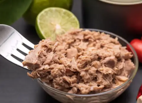 خوراک تن ماهی | خرید انواع خوراک تن ماهی در قیمت های مختلف