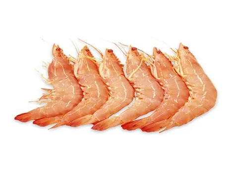 خرید باکیفیت ترین انواع میگو با قیمت ارزان