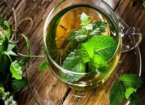 عرق نعنا سبز؛ اروپا آسیا شمال آفریقا روش مصرف استنشاقی خوراکی ضد عفونی دهان