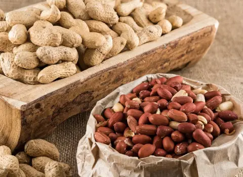خرید بهترین انواع بادام زمینی با قیمت ارزان