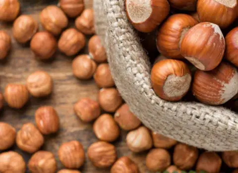 قیمت فندق خام + خرید انواع متنوع فندق خام