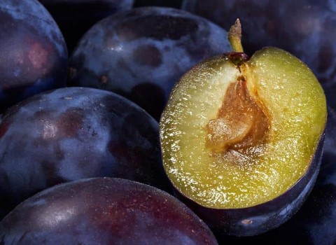آلو سیاه جنگلی؛ ترش شیرین گوشتی طبع سرد تقویت گوارش plum