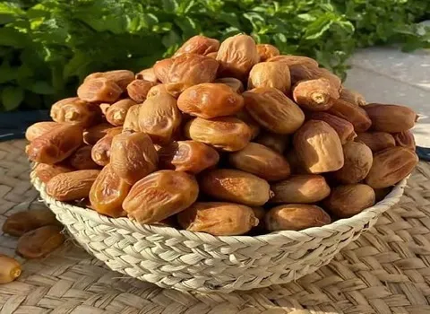 معرفی خرما زاهدی زرد + بهترین قیمت خرید