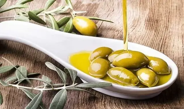 زیتون سبز کیلویی؛ هسته دار بدون هسته نارس حاوی چربی سالم