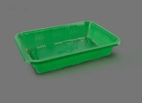 خرید انواع ظروف یکبار مصرف سبز رنگ + قیمت