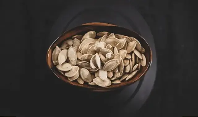 تخمه کدو درشت مرمری؛ خوشمزه مغز دار دارای پوست نازک pumpkin