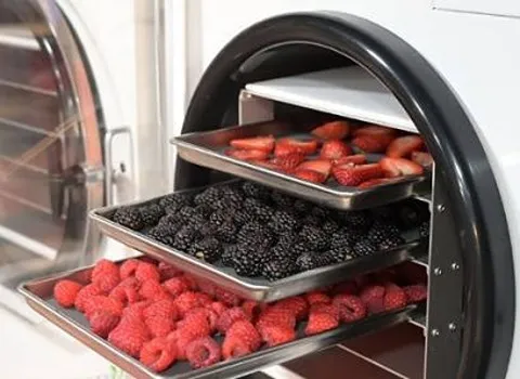 خرید فريز دراير میوه خشک پفکی با قیمت استثنایی