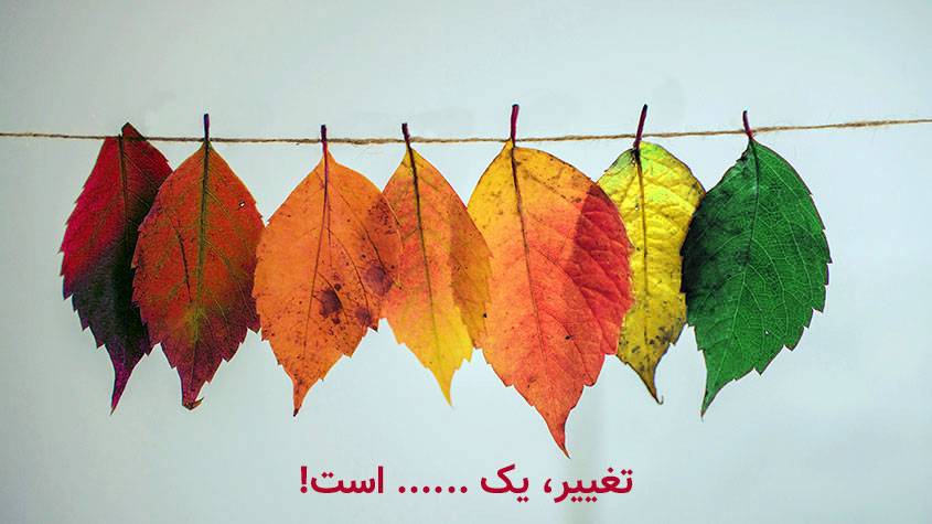 #بنگاه_تجاری: اکثر مردم دوست دارند بدون اینکه تغییری کنند تاجر شوند.