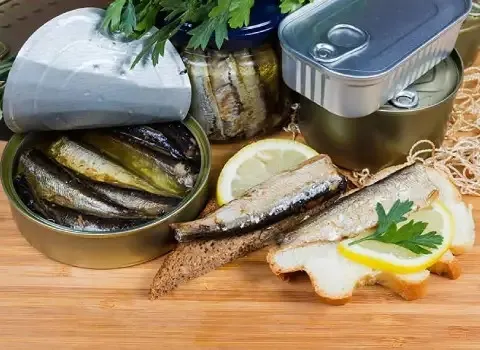 آموزش خرید تن ماهی ساردین مشهد صفر تا صد