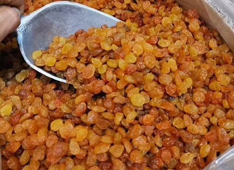 لیست قیمت کشمش تیزابی قوچان به صورت عمده و با صرفه