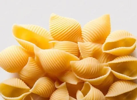 قیمت خرید ماکارونی صدفی بزرگ + مشخصات، عمده ارزان