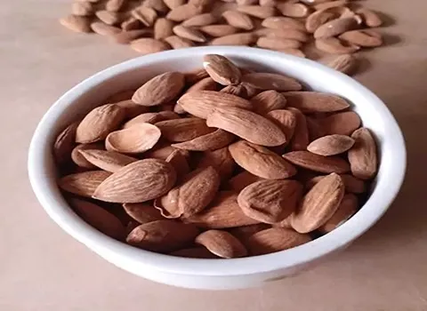 مغز بادام شیراز؛ با پوست خام بو داده تقویت حافظه Calcium