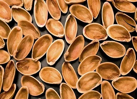 آشنایی با خواص و صادرات پوست پسته به ترکیه