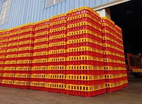 خرید قفس حمل مرغ زنده با قیمت استثنایی