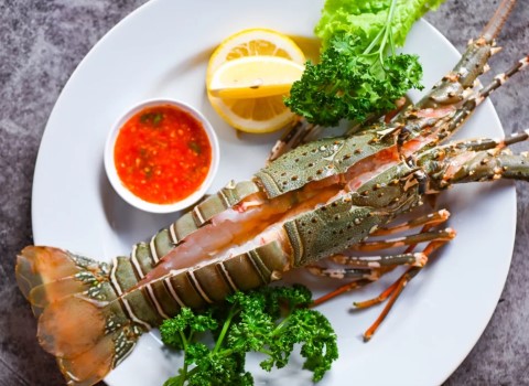 قیمت لابستر خوراکی