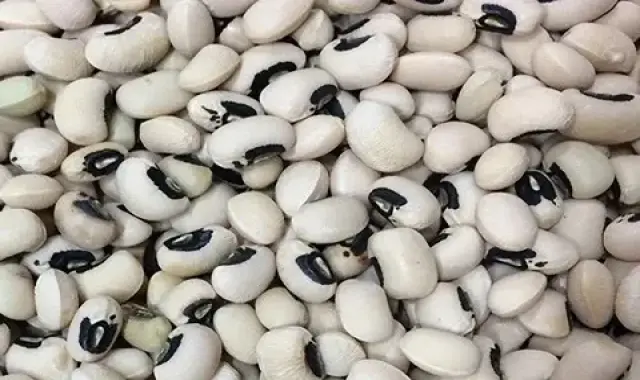 قیمت لوبیا چشم بلبلی اصل