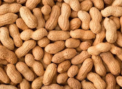 معرفی بادام زمینی با پوست + بهترین قیمت خرید