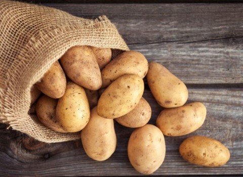 خرید سیب زمینی اردبیل + قیمت عالی با کیفیت تضمینی