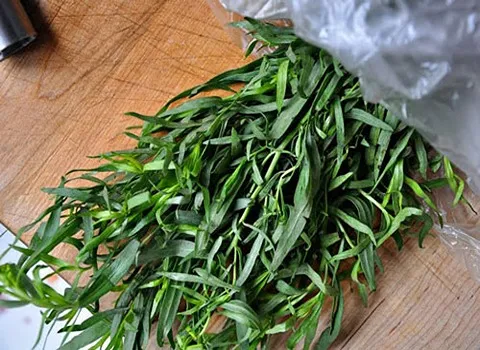 خرید جدیدترین انواع گیاه ترخون دارویی