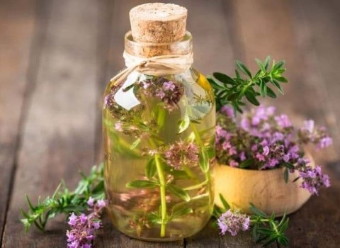 قیمت خرید عرق آویشن برای لاغری + مشخصات، عمده ارزان