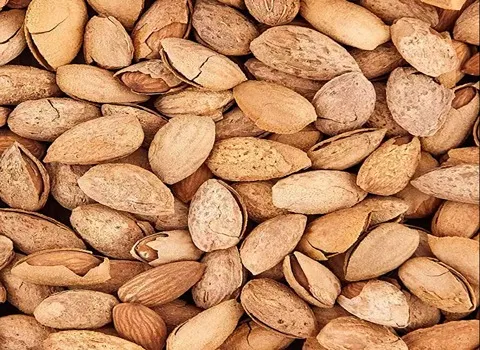 قیمت بادام کاغذی امروز