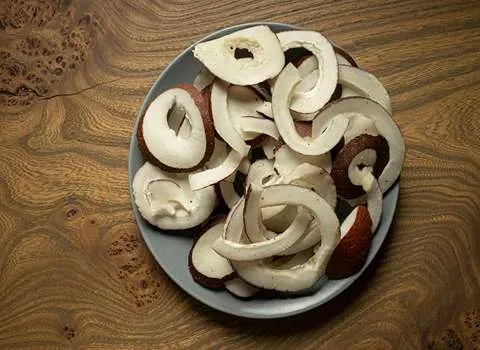 میوه خشک نارگیل | فروشندگان قیمت مناسب میوه خشک نارگیل