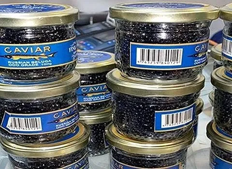 قیمت خرید خاویار آذربایجانی بلوگا + مشخصات، عمده ارزان