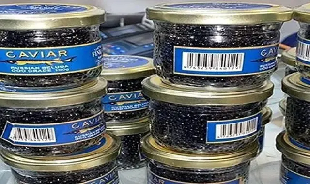 قیمت خرید خاویار آذربایجانی بلوگا + مشخصات، عمده ارزان