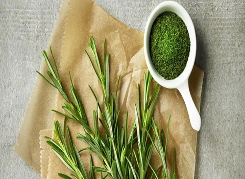 قیمت خرید گیاه دارویی رزماری + تست کیفیت