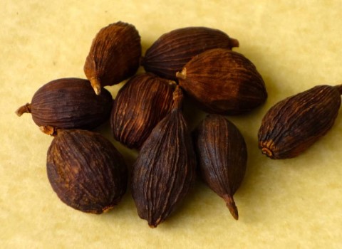 هل سیاه چه خواصی دارد + قیمت خرید