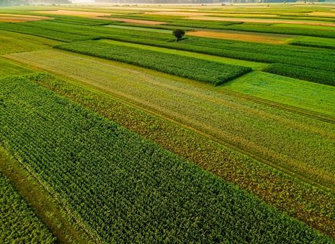 دانستنی های تجاری - ۸ شهریور