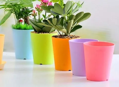 قیمت گلدان پلاستیکی رنگی ارزان