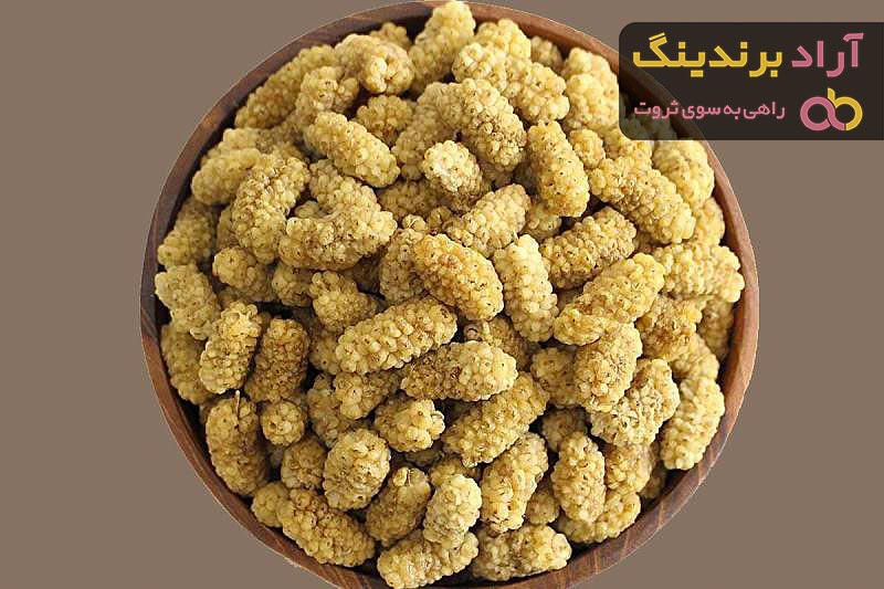 توت خشک در بارداری / قیمت خرید عمده