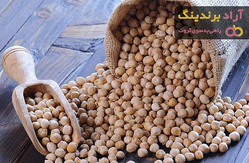 خواص نخود فرنگی/ قیمت خرید عمده