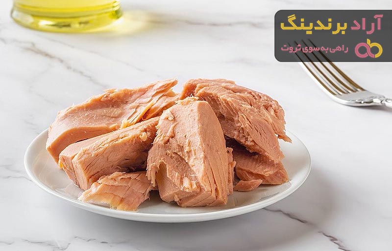 قیمت انواع تن ماهی با بهترین قیمت