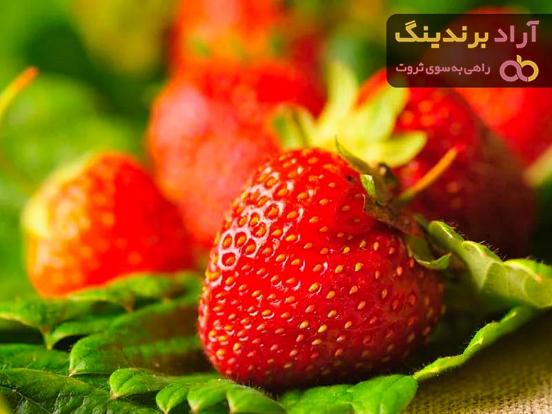 خرید بهترین انواع توت فرنگی تهران با قیمت ارزان