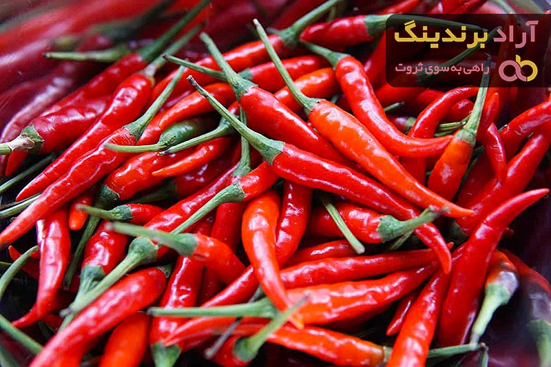 خرید فلفل شمشیری گلخانه ای تند با قیمت استثنایی