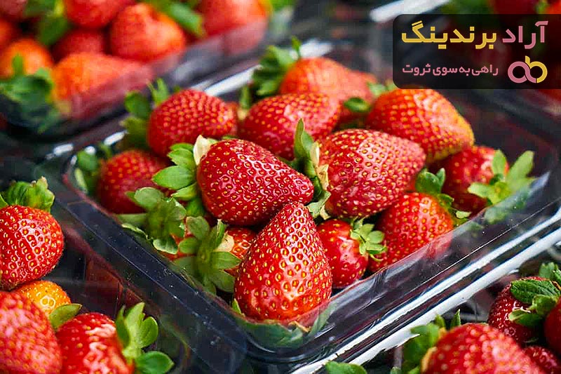 بهترین توت فرنگی وحشی قرمز + قیمت خرید عالی