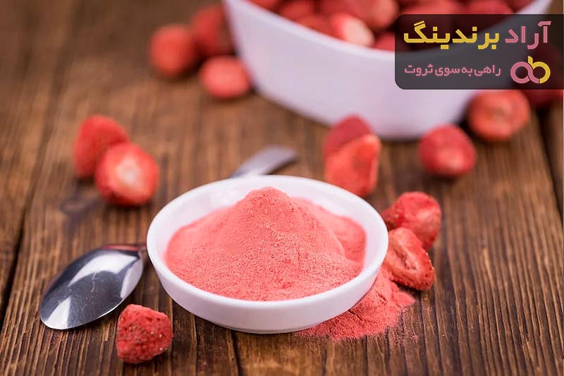 خرید و قیمت انواع پودر توت فرنگی نسکوییک