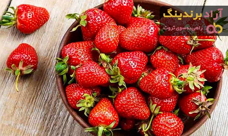 قیمت توت فرنگي اروميه + مشخصات بسته بندی عمده و ارزان